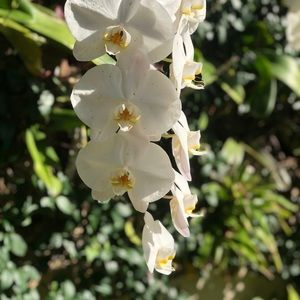 Meet your Posher, Randi